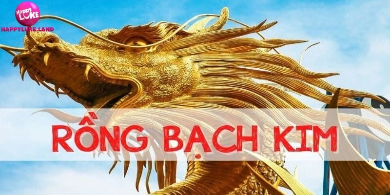 Những điều người chơi cần phải nắm về phương pháp soi cầu rồng bạch kim